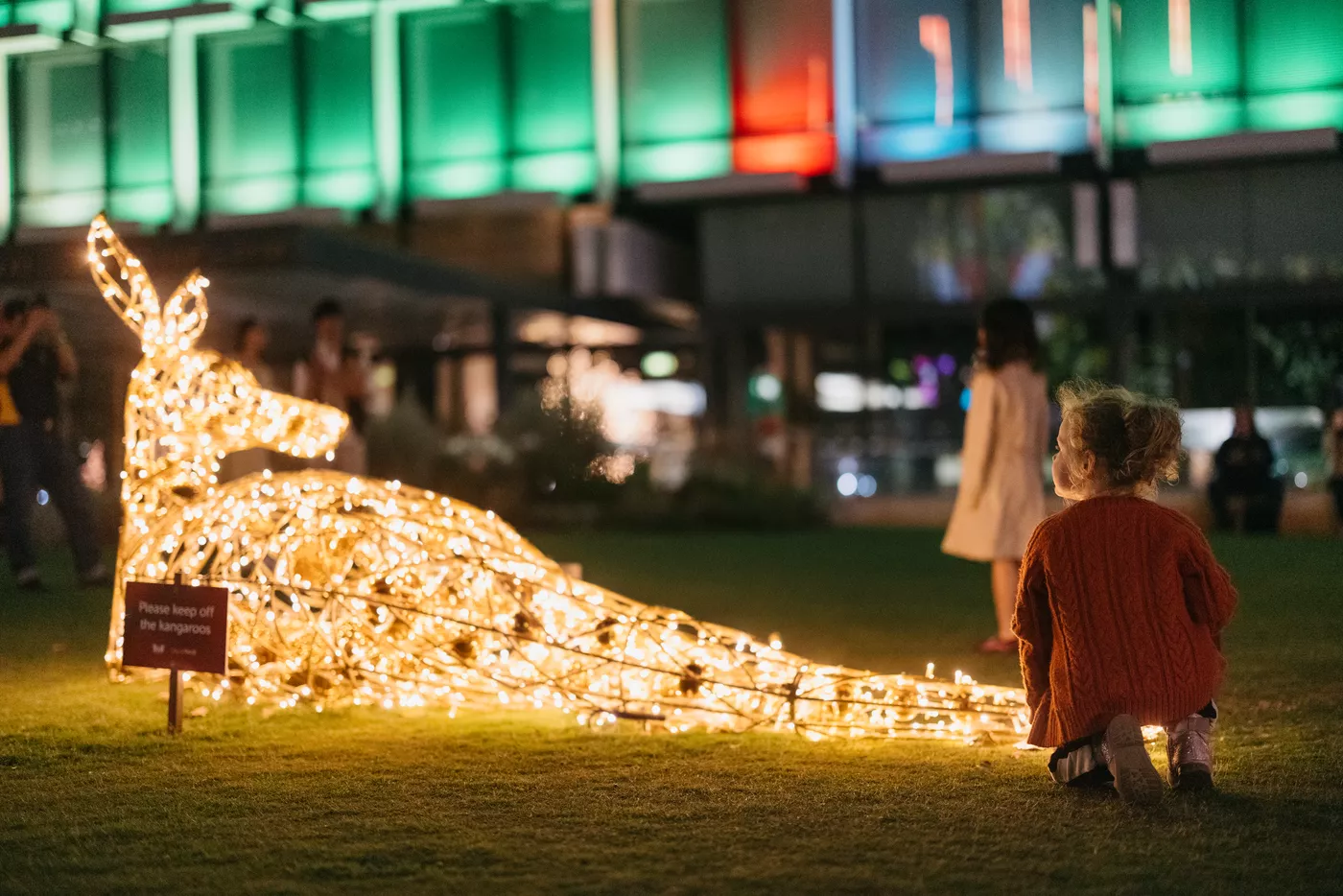 Christmas light kangaroos
