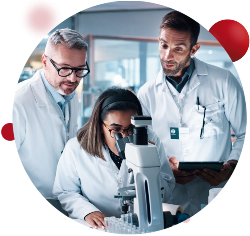 Working Group on cellular biology