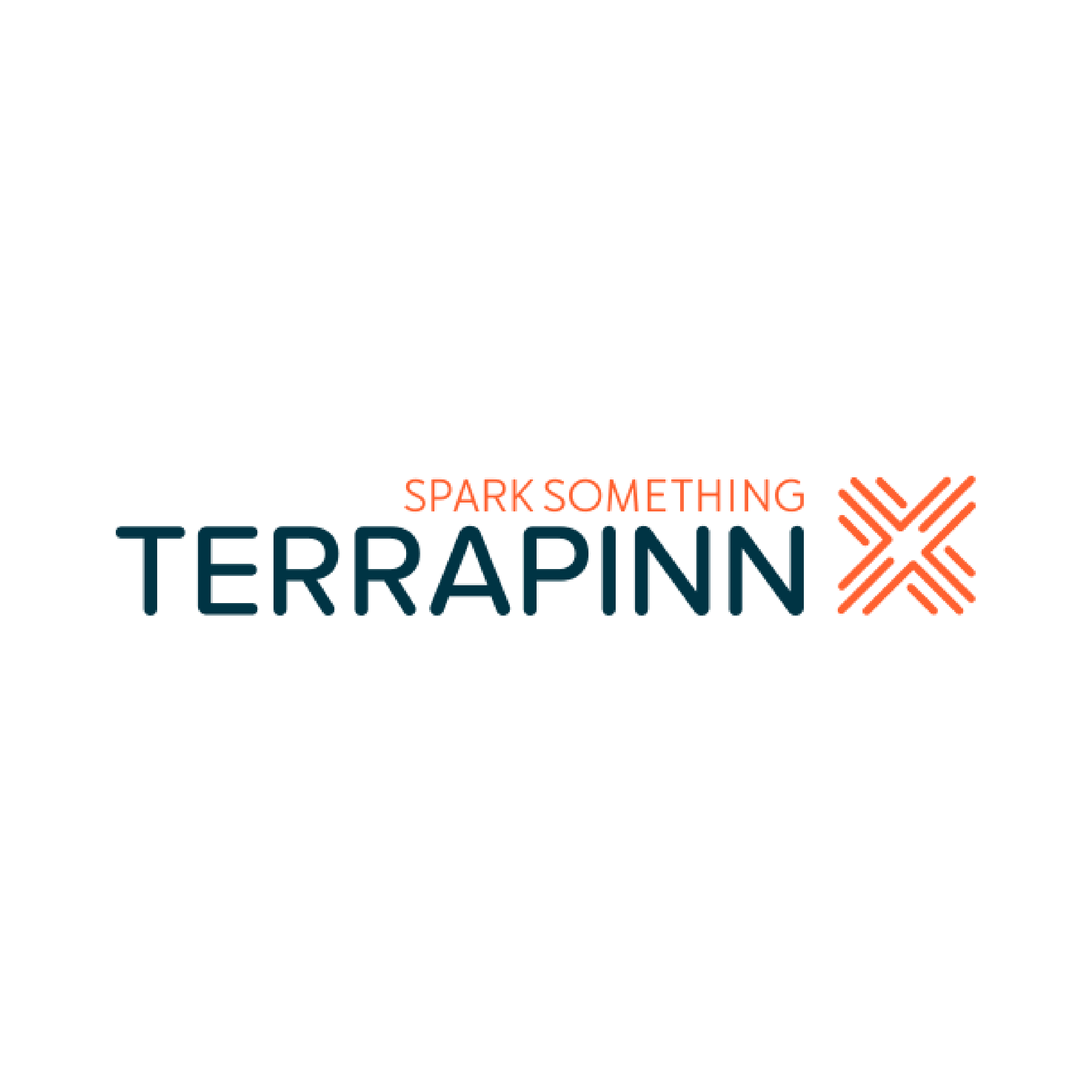 Logo of Terrapinn with slogan “Spark Something” and stylized orange X symbol