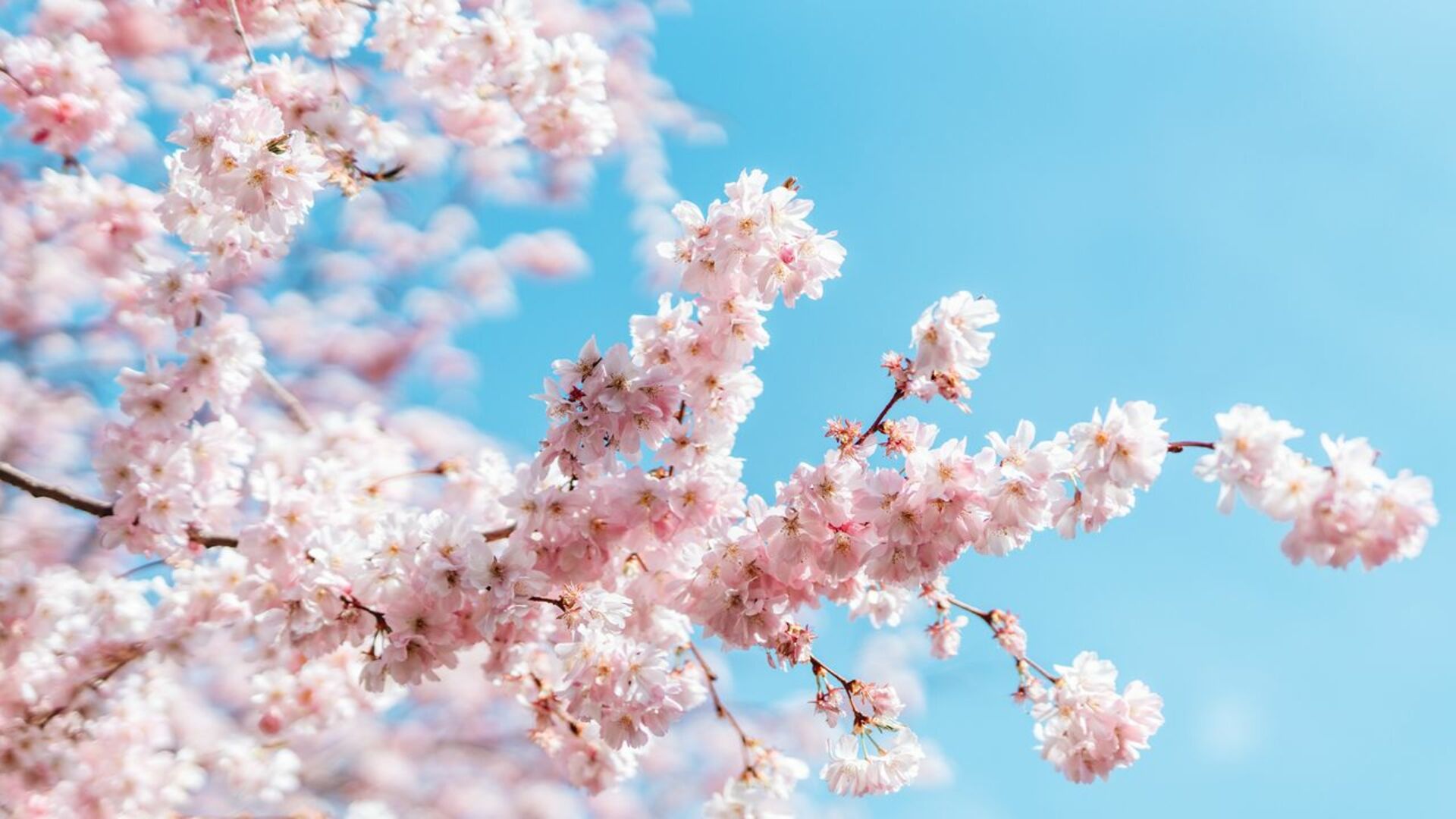 10 Financial To-Do's for Spring (You'll Feel Great When You Check Them Off)