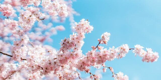 10 Financial To-Do's for Spring (You'll Feel Great When You Check Them Off)