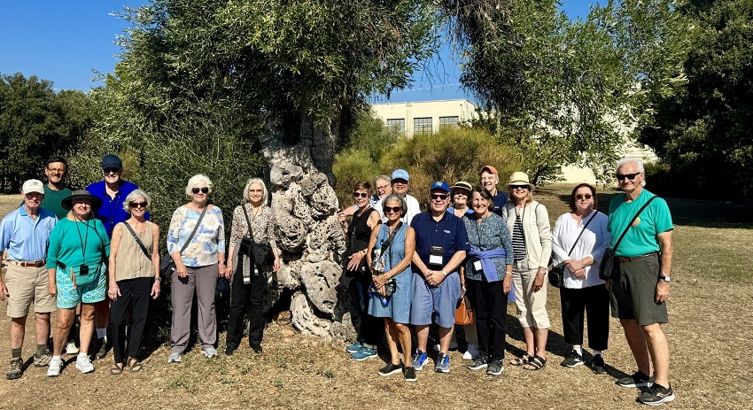 The group of Road Scholars stands in front of a tree with a twisting growth pattern