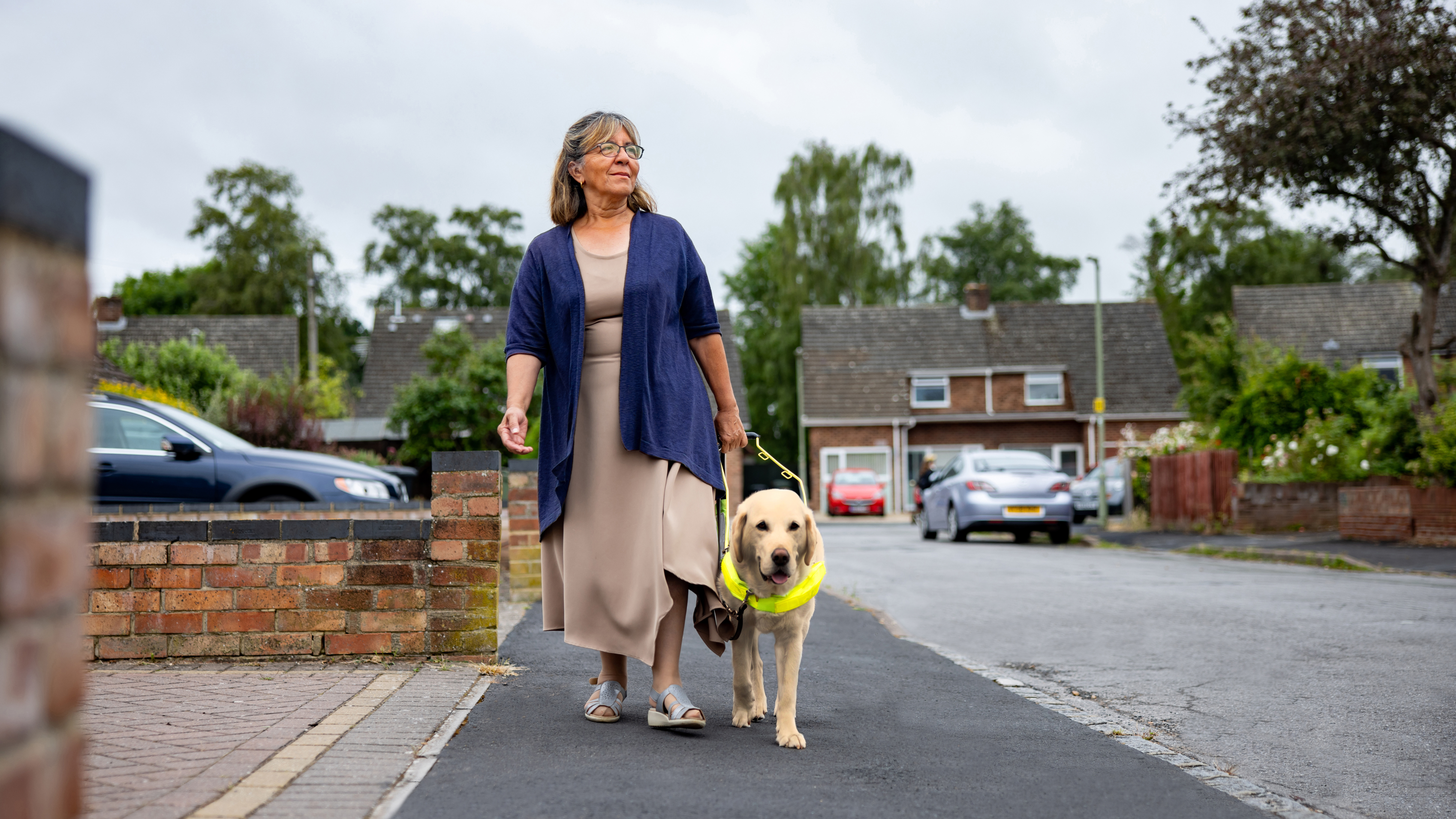 GuideDog16x9.jpg