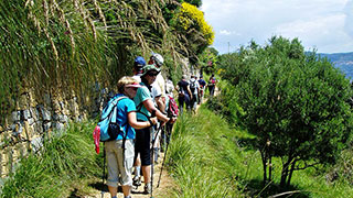21050-italy-hiking-cinque-terre-group-smhoz.jpg