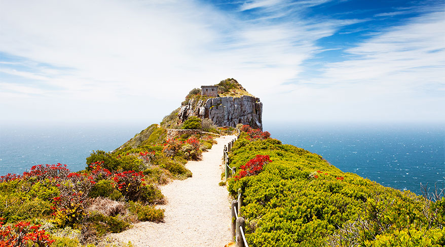 23539-south-africa-cape-point-c.jpg