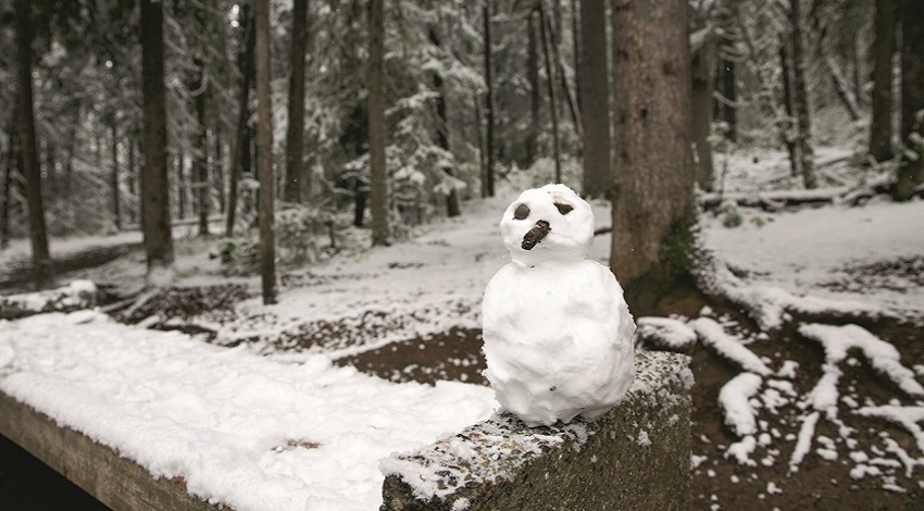 A snowman on the side of a trail in the woods in the Canadian Rockies