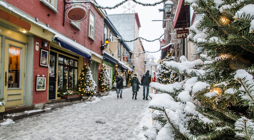 A dusting of snow on greenery on the streets of Québec City