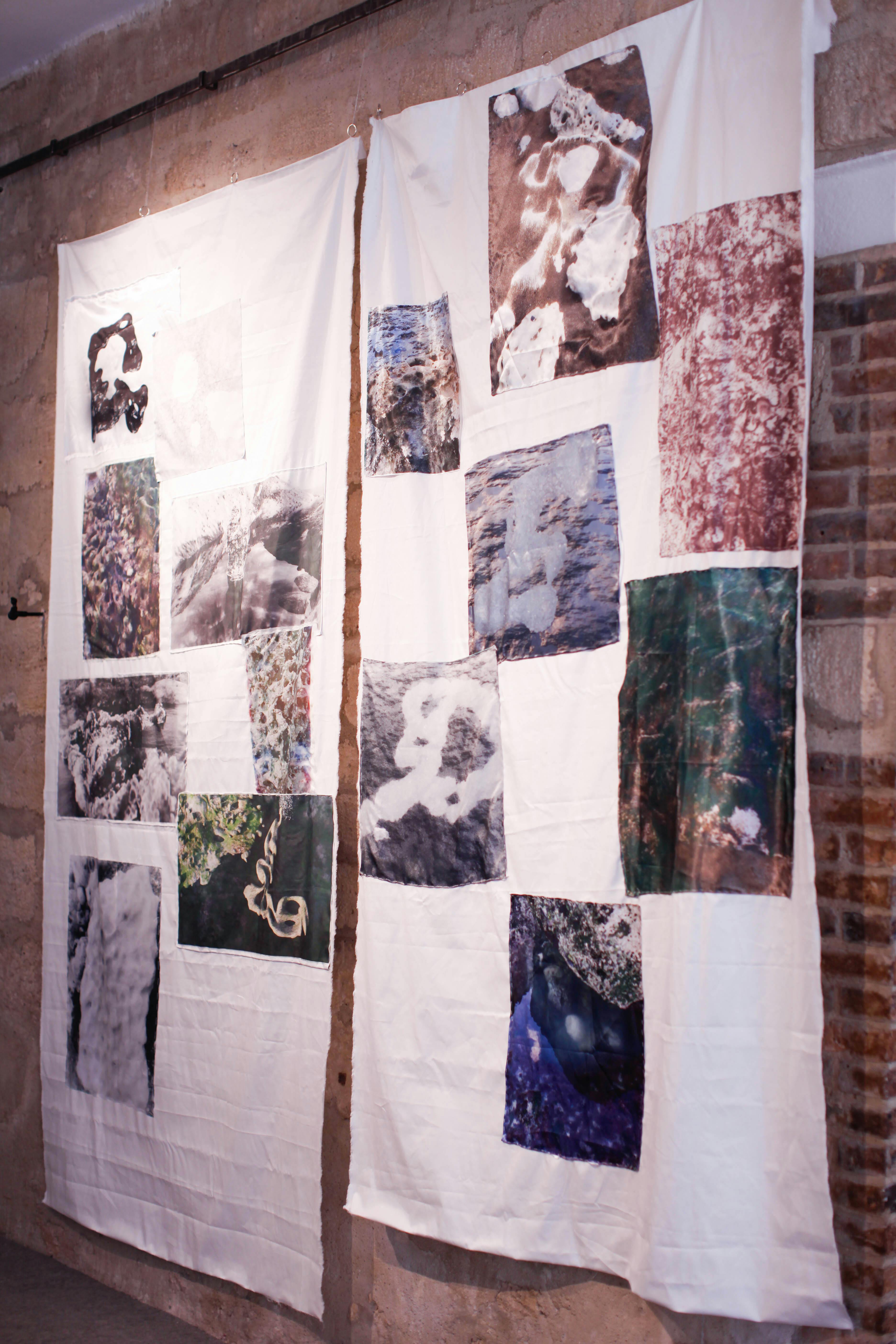 Large fabric panels printed with abstract nature photographs