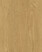 Southern Oak Antique