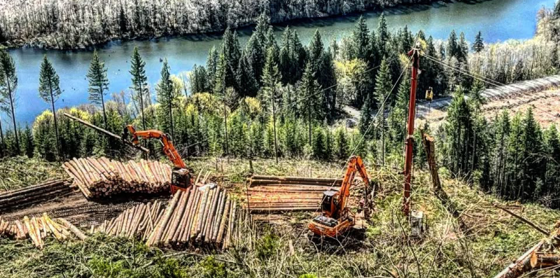 Two DEVELON log loaders working on a job site.