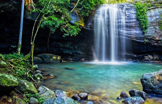 Serenity Falls flowing into a pool at Buderim on the Sunshine Coast