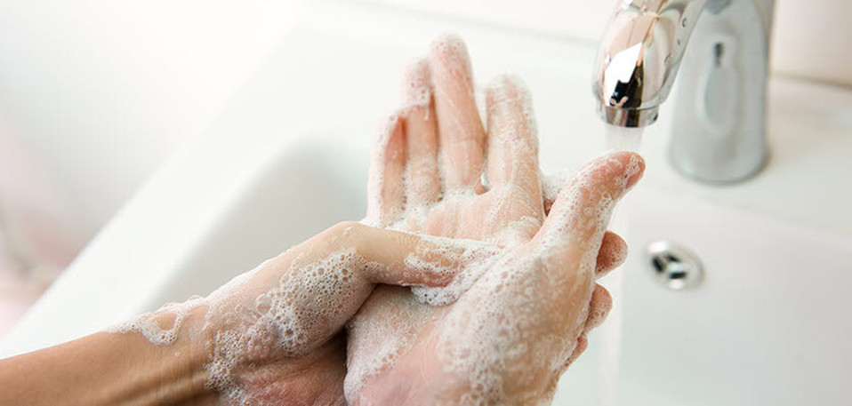 vet voice - washing hands