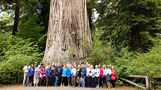 16188-sequoia-national-park-smhoz.jpg