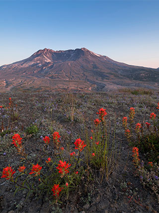 24456-mount-st-helens-washington-vert.jpg