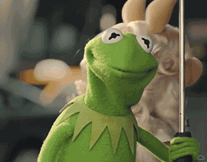 who knows.gif