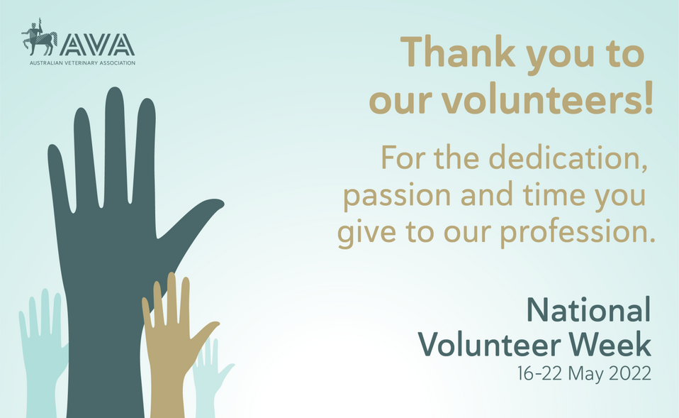 National Volunteer Week 2022.png
