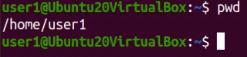 blog_linux-file-management-commands_1.jpg