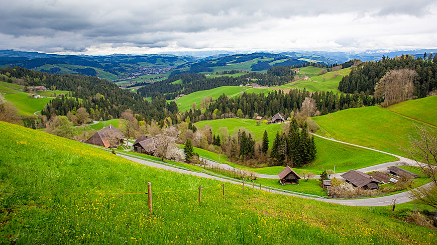 24916-CH-Emmental-4c.jpg