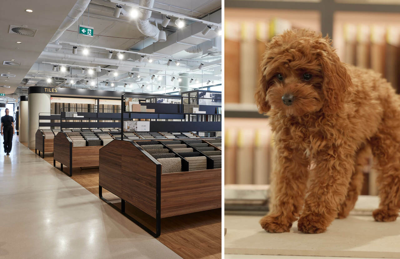 CH183 Pet-friendly finishes for your new home body.jpg