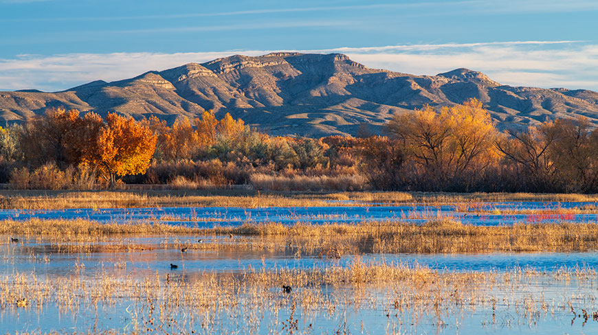 22614-US-NM-Bosque-de-Apache-National-Wildlife-Refuge-lghoz.jpg