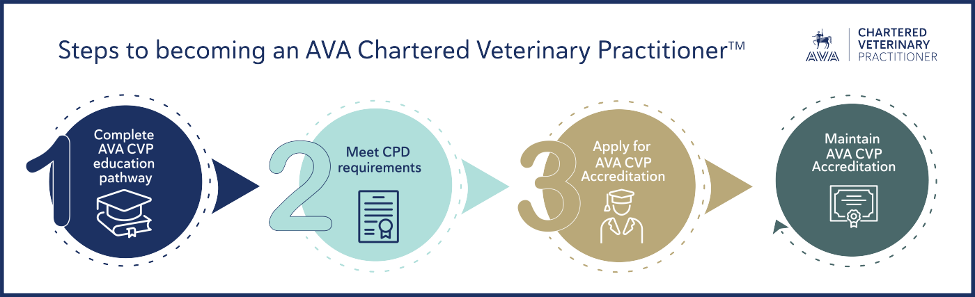 CVP model