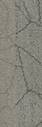 Buckthorn