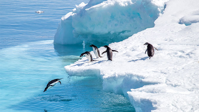 23705-icebergs-penguins-otherworldly-antarctica-lghoz.jpg