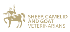 sheep camelid goat - SCGV - logo