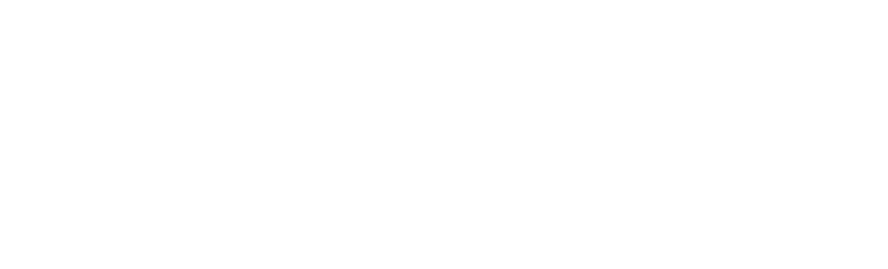 BICSI Winter 2027 white/knockout logo