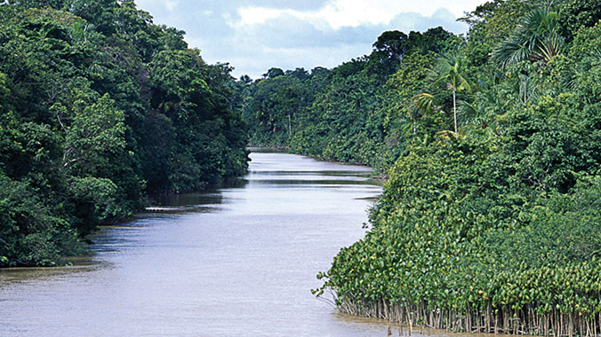 21982-heart-of-amazon-rainforest-riverboat-lghoz.jpg