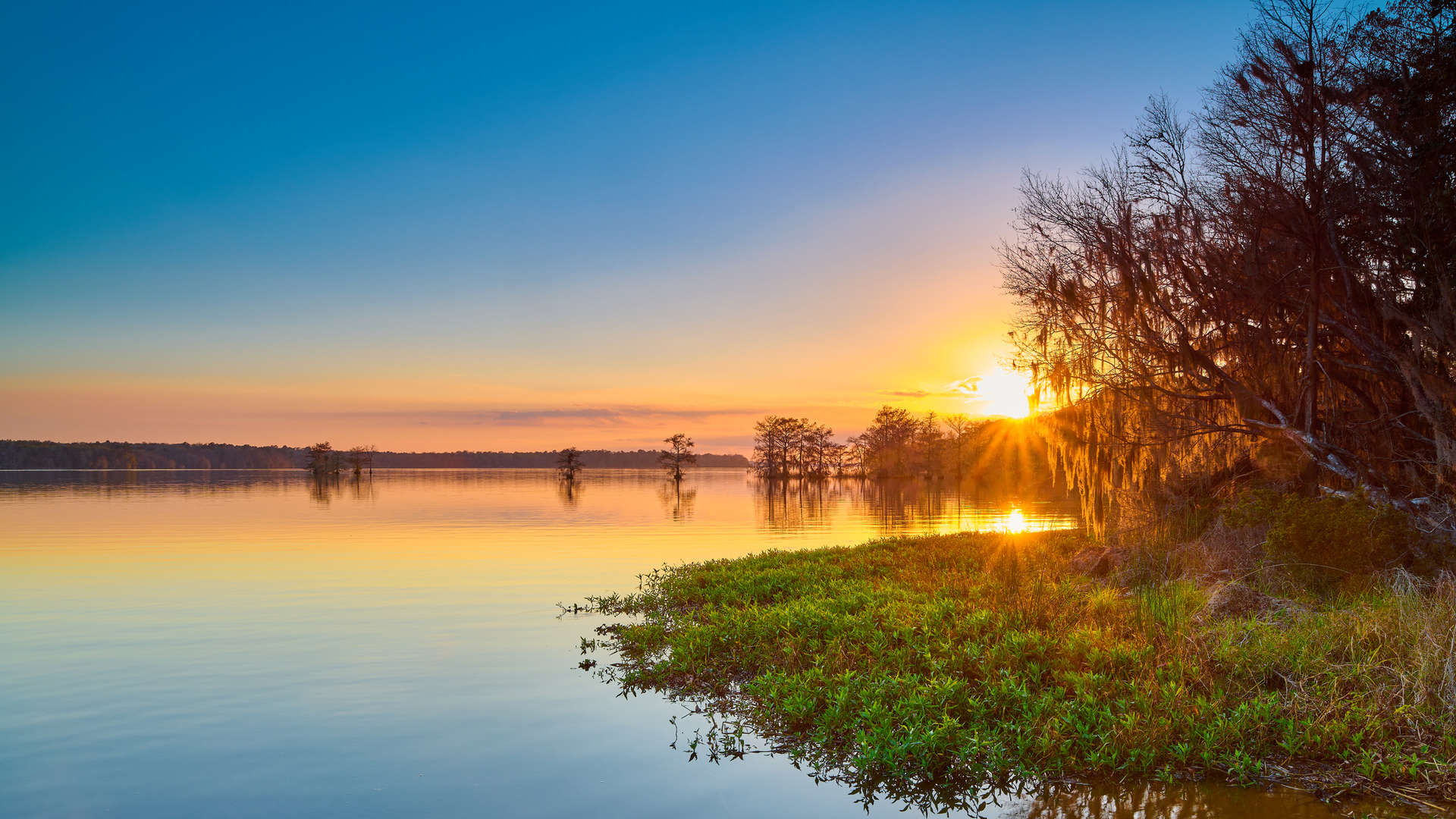 Travel Trends You Can Expect This Summer