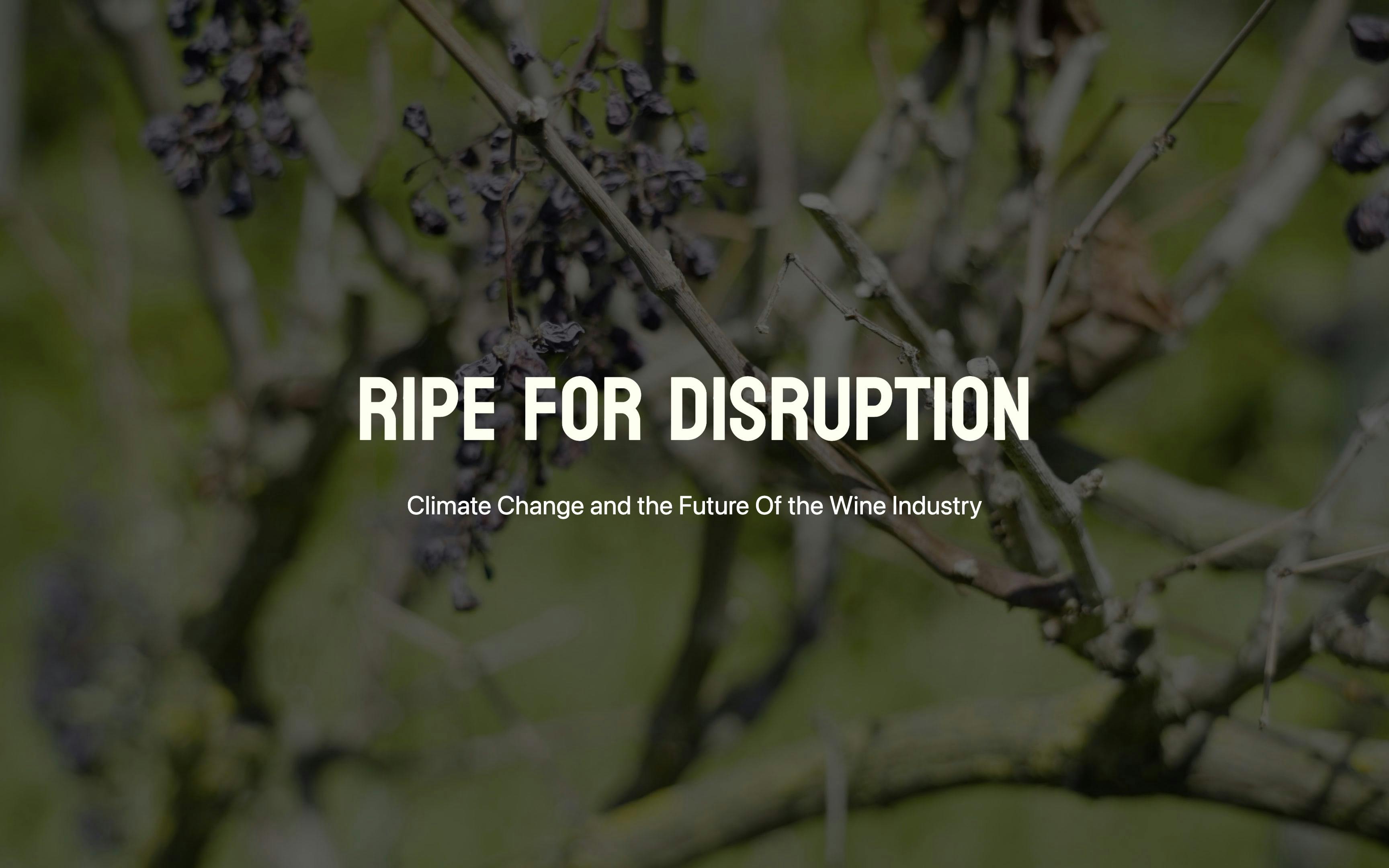 Ripe for Disruption - Climate Change and the Future of the Wine Industry