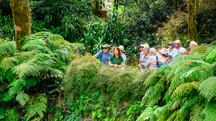 23579-PT-Sao Miguel-Furnas Village-Terra Nostra Garden-160-c.jpg