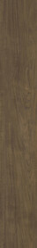 Alma Teak