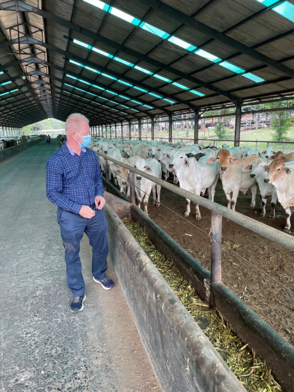 Australian Chief Veterinary Officer Dr Mark Schipp visiting a cattle feedlot in Lampung Indonesia - HR image - DAWE.jpg