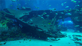 24470-Shipwreck-ocean-smhoz.jpg