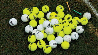 21807-florida-golf-school-learn-from-the-pros-course-balls-smhoz.jpg