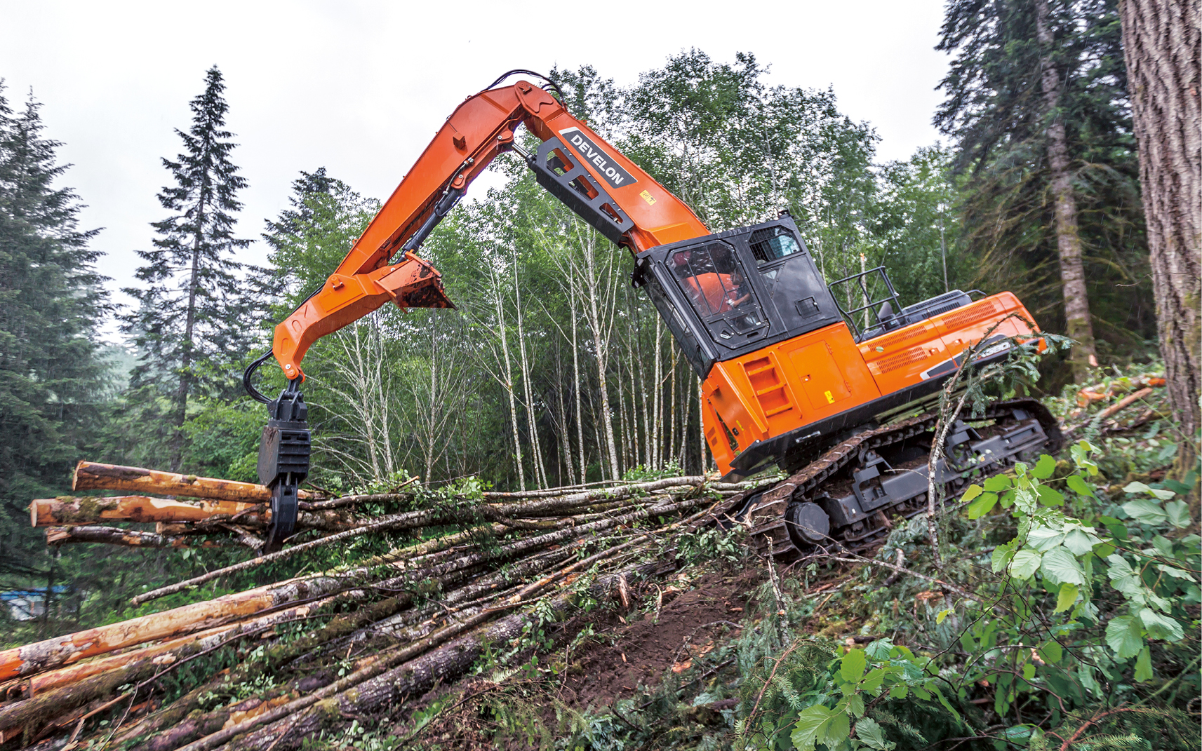 DEVELON log loader picking up logs in a forest. 