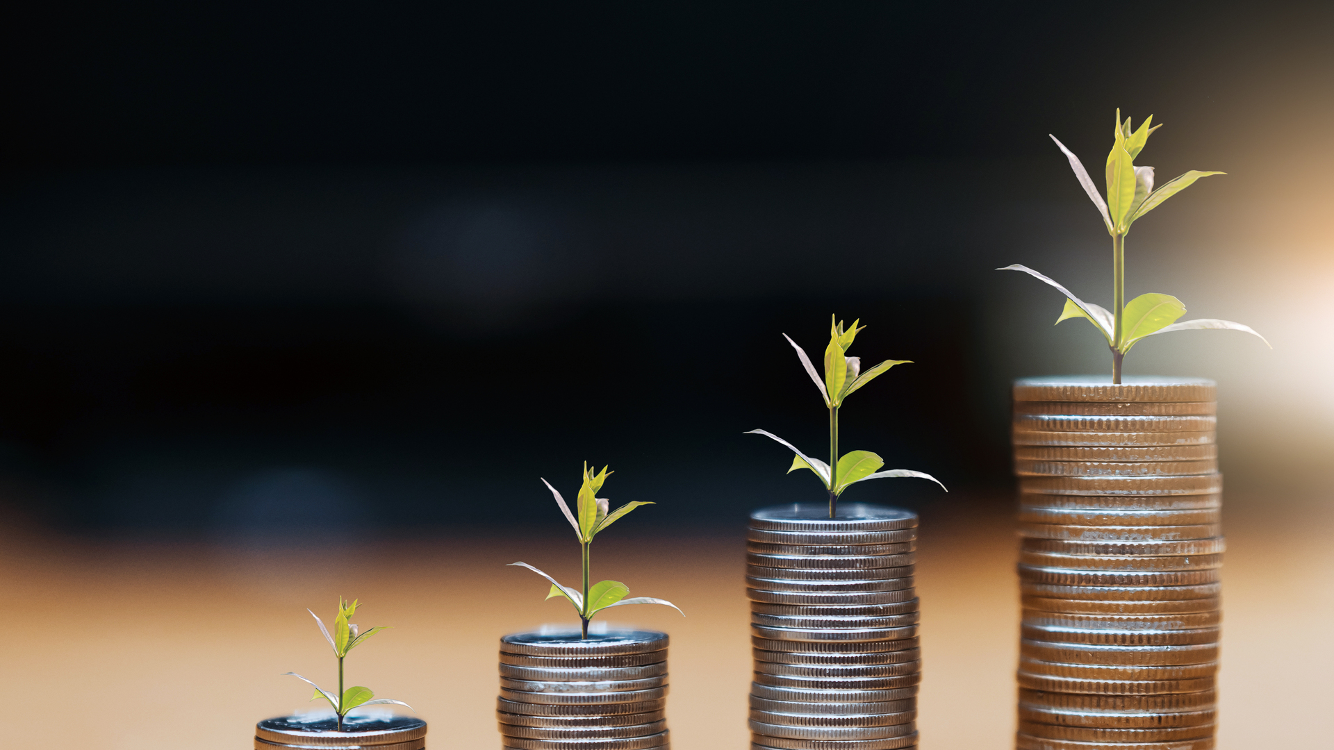 step of coins stacks, money, saving and investment or family planning concept.