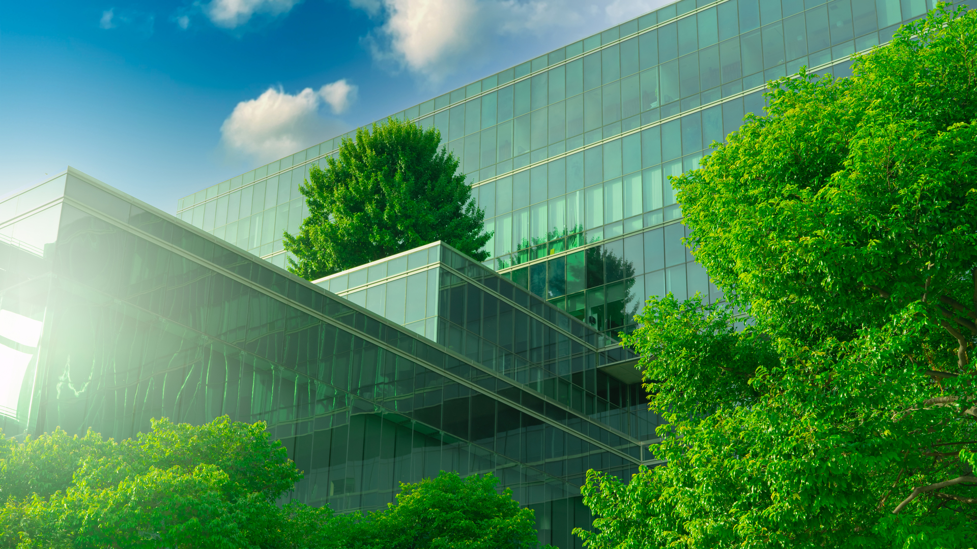 Eco-friendly building with vertical garden in modern city. Green tree forest on sustainable glass building. Energy-saving architecture with vertical garden. Office building with green environment.