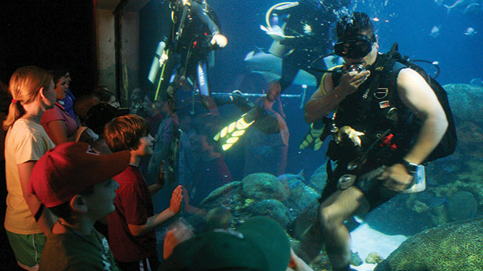 17691-tennessee-chattanooga-aquarium-c.jpg