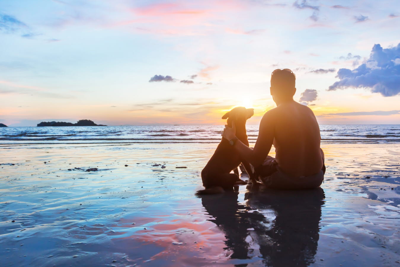 dog-wellbeing-sunset.jpg