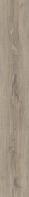 Silvered Oak