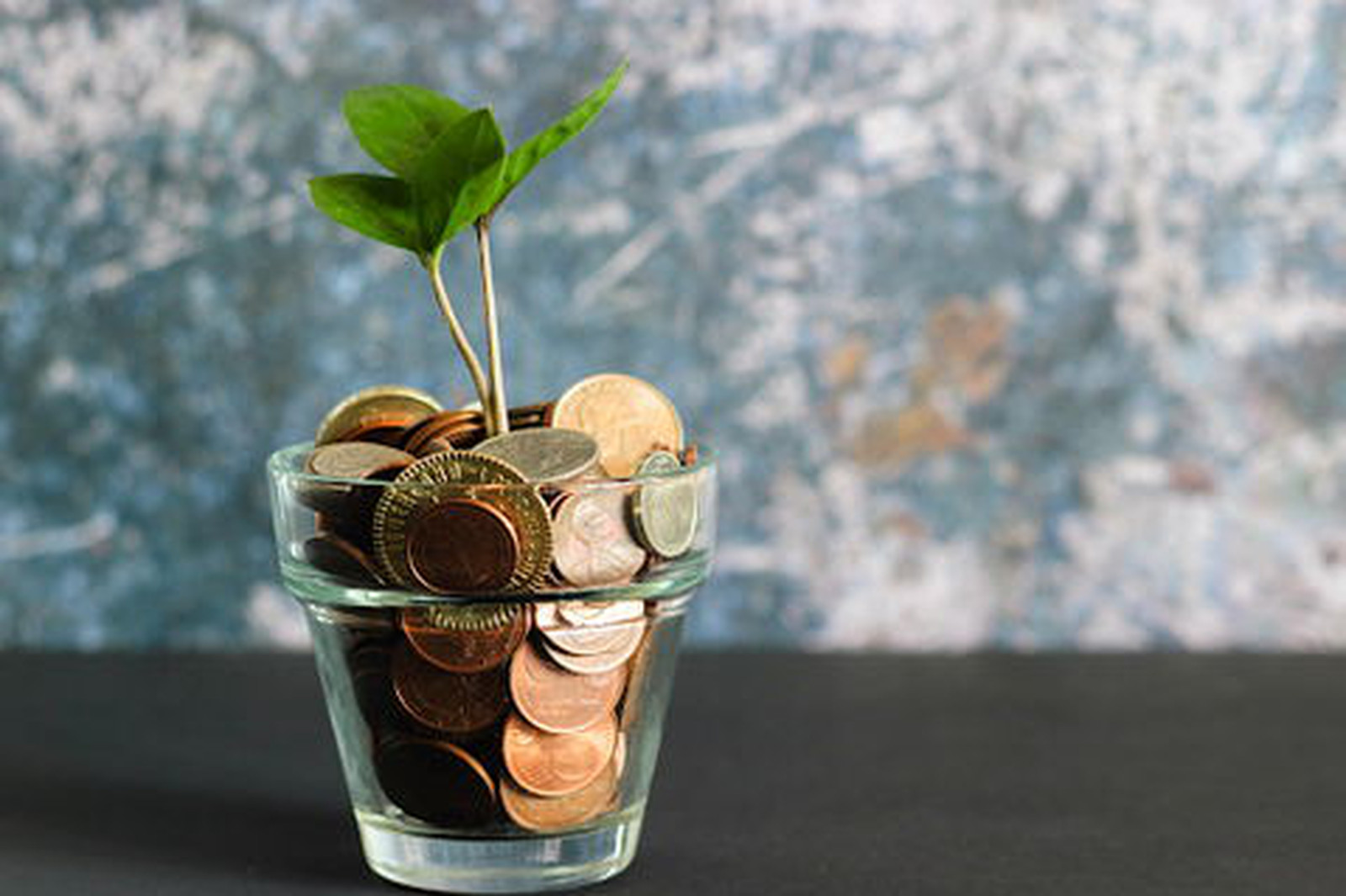 Tips Mengatur Keuangan Ala Frugal Living