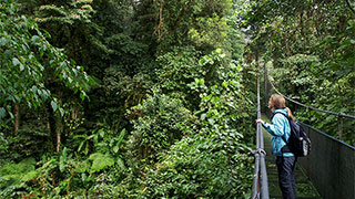 23616-from-cloud-forest-to-volcanoes-costa-rica-family-smhoz.jpg