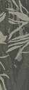 Elicit