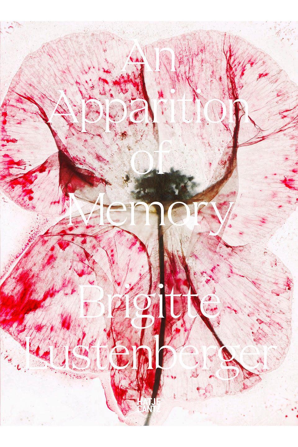 An Apparition of Memory
