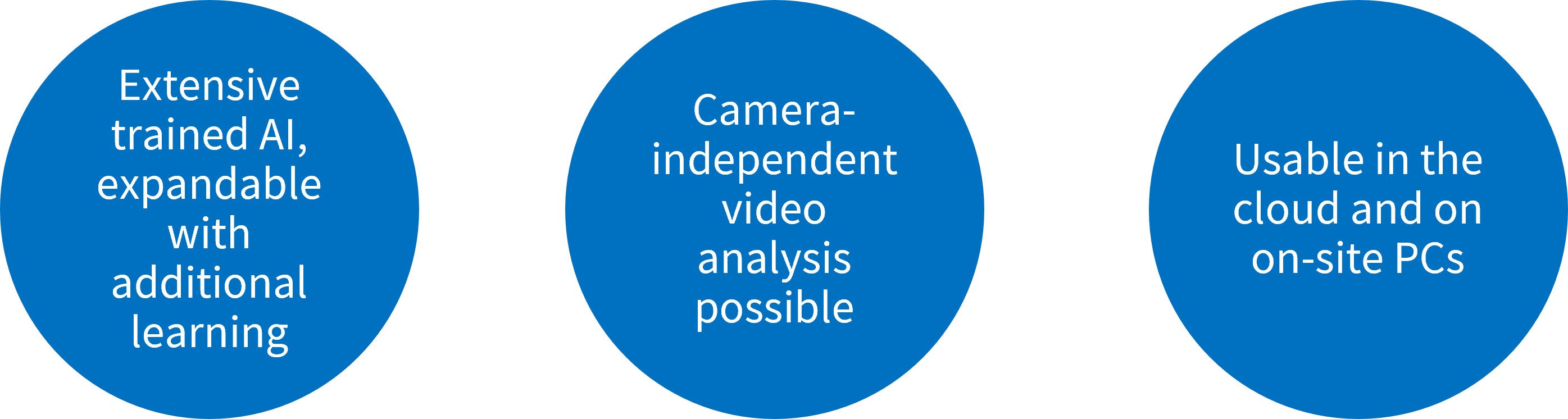 Features of SATLYS Video Analysis AI