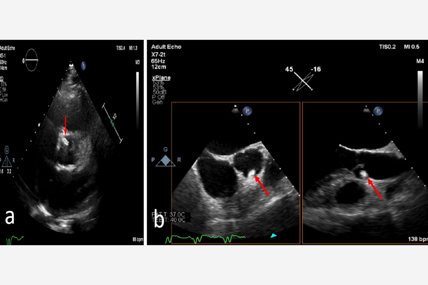 Image of the Week - 12 November 2025