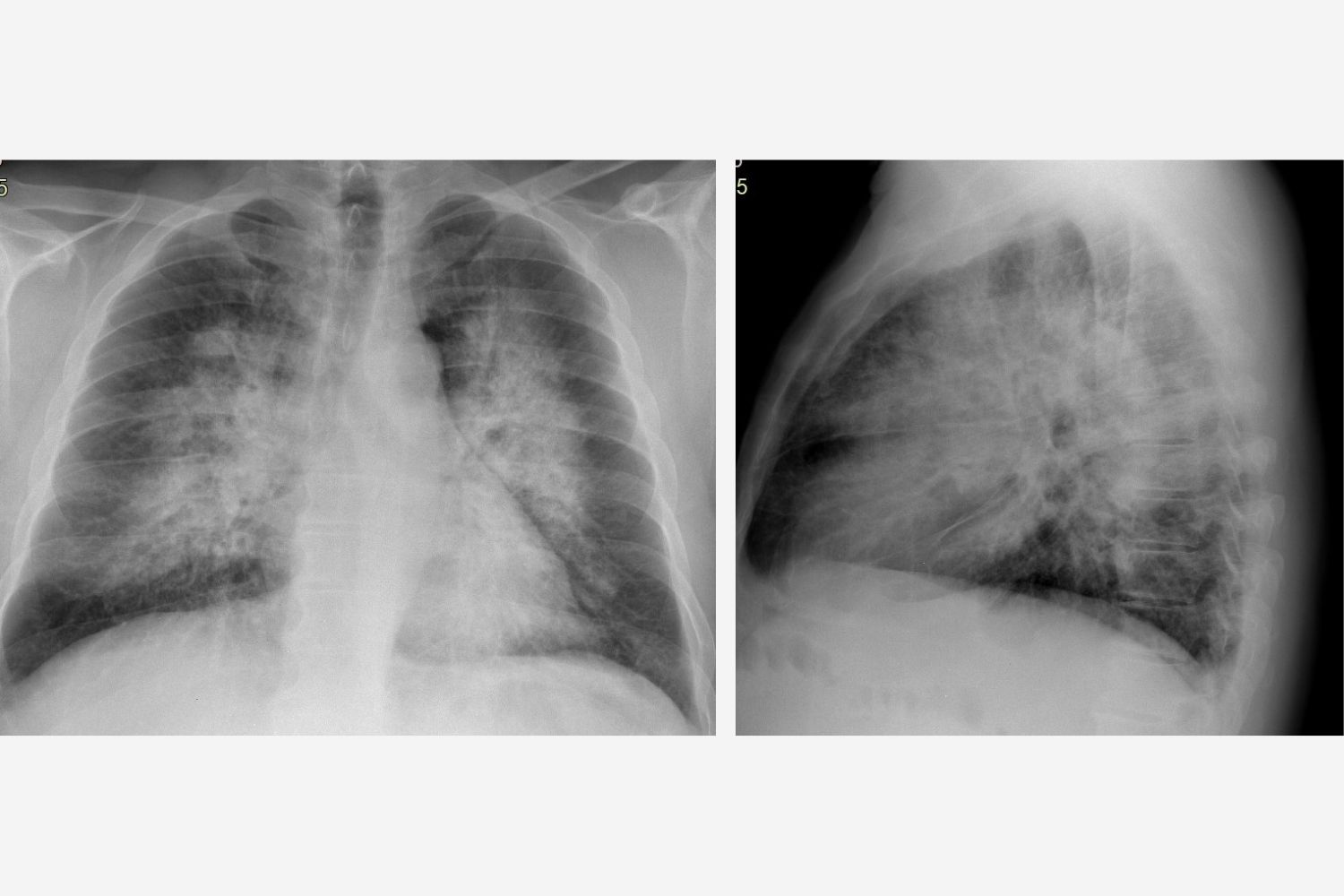 Image of the Week - 29 October 2025